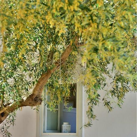 Appartement Douskos Beach House à Hydra  Extérieur photo