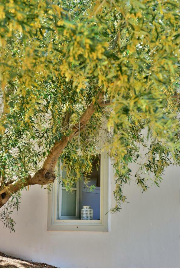 Appartement Douskos Beach House à Hydra  Extérieur photo