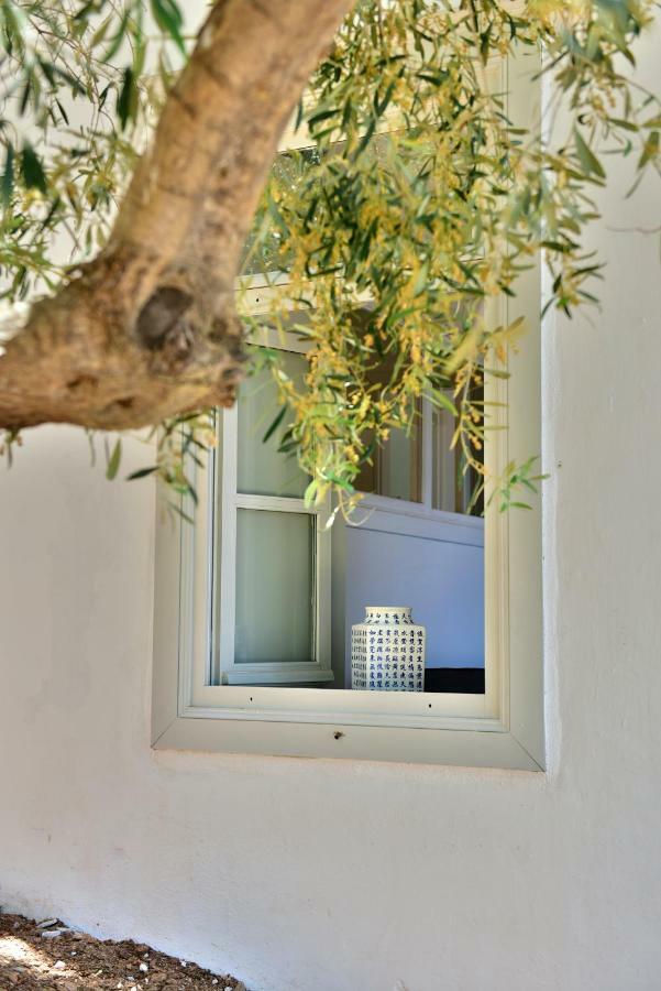 Appartement Douskos Beach House à Hydra  Extérieur photo